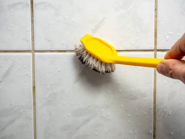 Best Office Mold Removal Services  in Elizabethton, TN